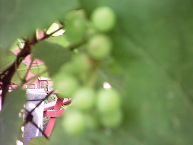 Picture 039.jpg